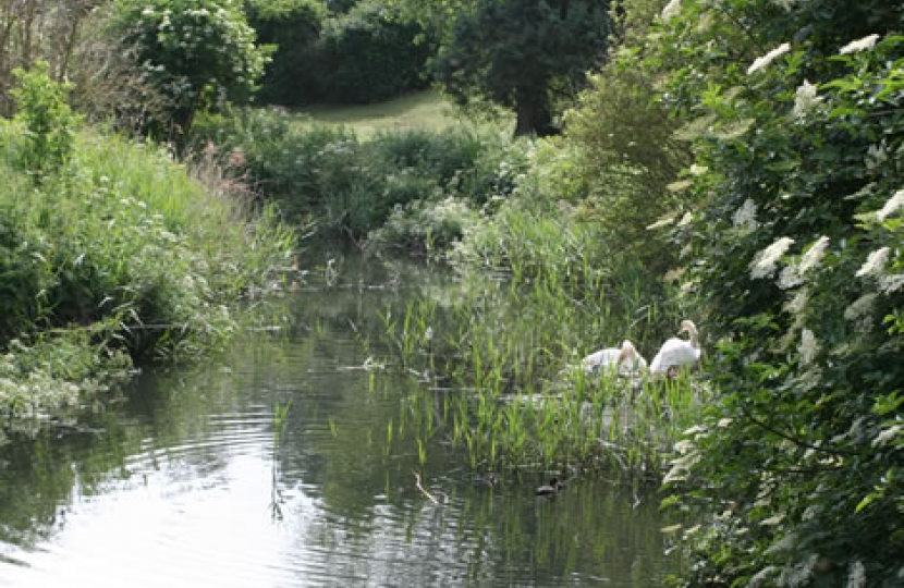 Bright future ahead for Worthing's much-loved Brooklands Park