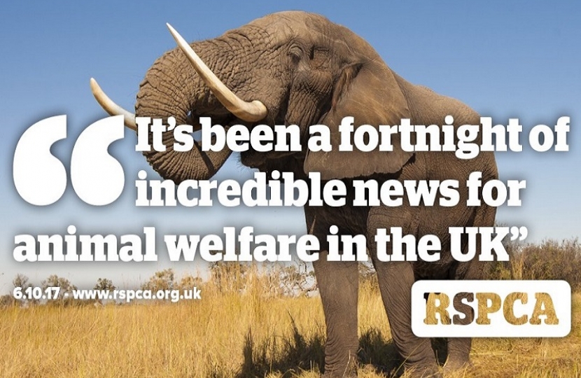 "It's been a fortnight of incredible news for animal welfare in the UK" 