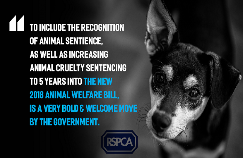 Environment Secretary publishes bill to strengthen animal welfare