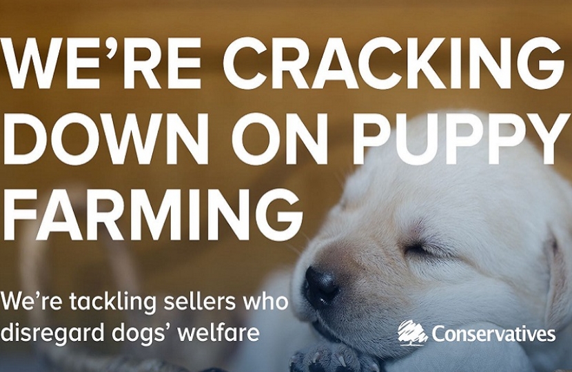 Banning third-party puppy sales