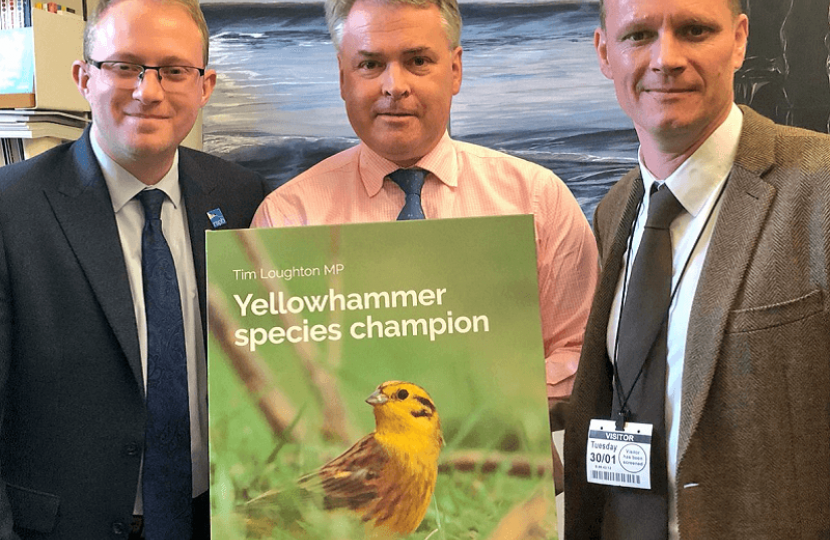 Yellowhammer species champion