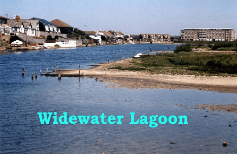 Swans on Widewater Lagoon