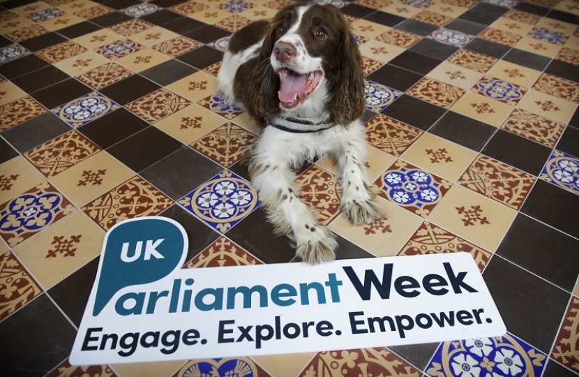 UK Parliament Week 2018