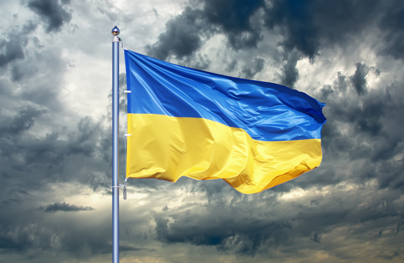 Ukraine Flag