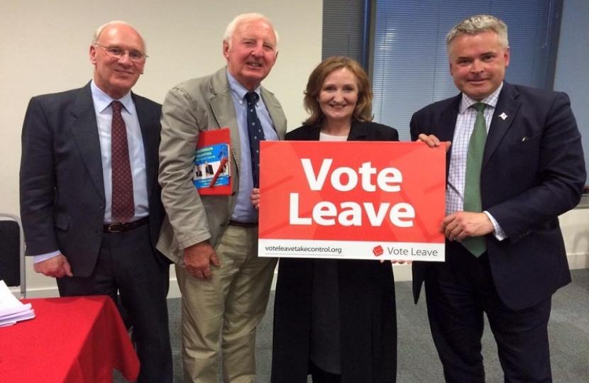 Vote Leave‬ rally in Midhurst