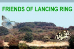 Friends of Lancing Ring Spring Newsletter