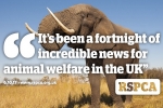 "It's been a fortnight of incredible news for animal welfare in the UK" 