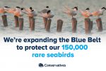 Government announces new protection areas to safeguard rare seabirds