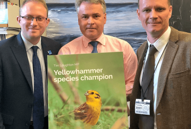 Yellowhammer species champion