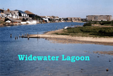 Swans on Widewater Lagoon