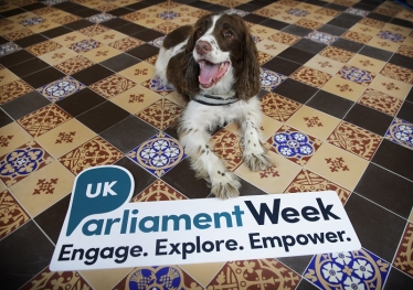 UK Parliament Week 2018