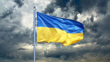 Ukraine Flag